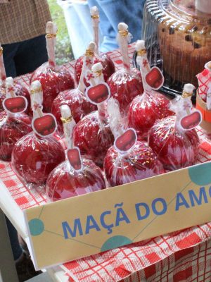 IMG_3660